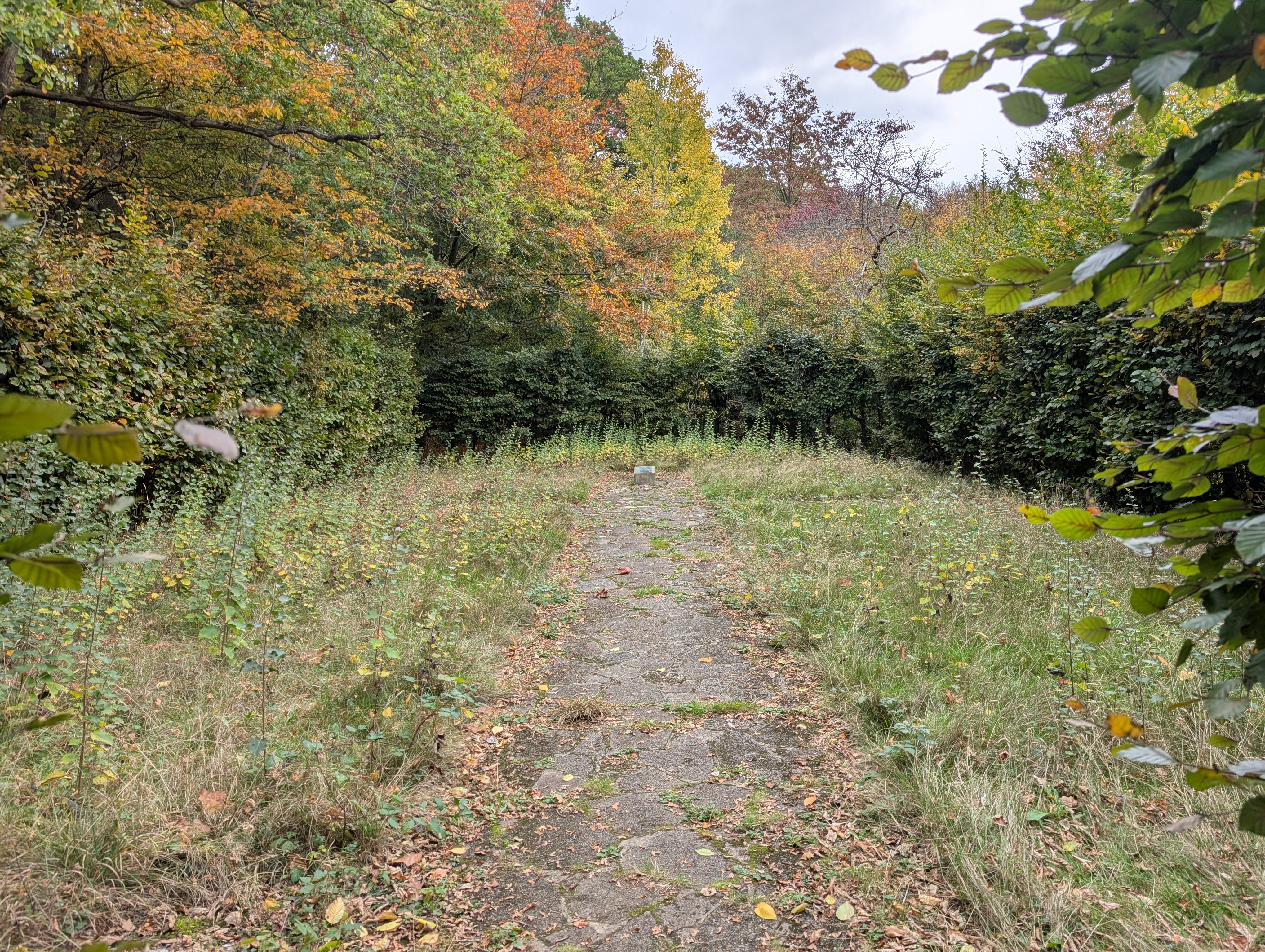 Ruislip Woods Youth Chapel looking overgrown
